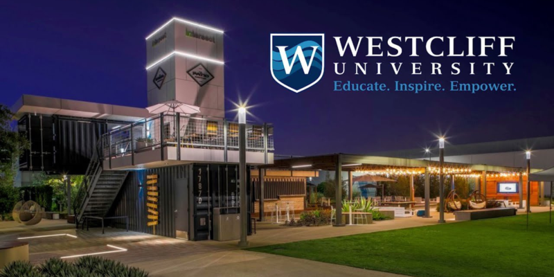 Untitled design (59)